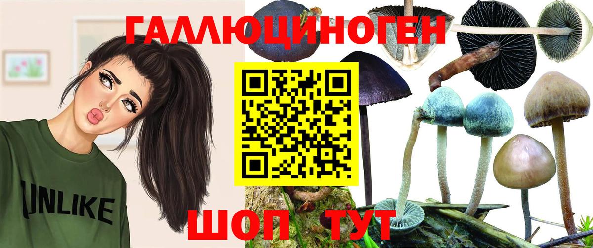Галлюциногенные грибы мицелий  Вход с VPN  Лесной 